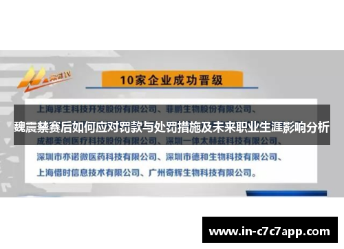 魏震禁赛后如何应对罚款与处罚措施及未来职业生涯影响分析