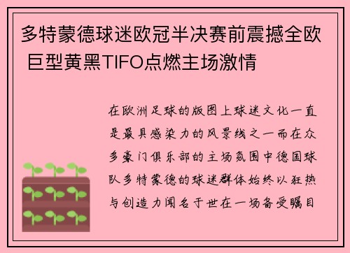 多特蒙德球迷欧冠半决赛前震撼全欧 巨型黄黑TIFO点燃主场激情